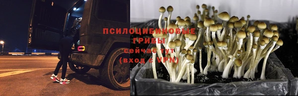 МДПВ Михайлов