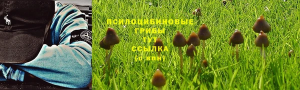 МДПВ Михайлов