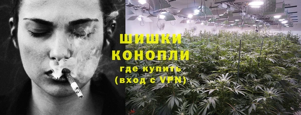 МДПВ Михайлов